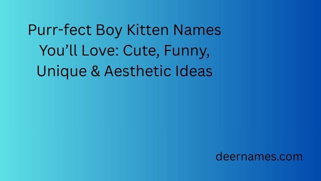 boy kitten names