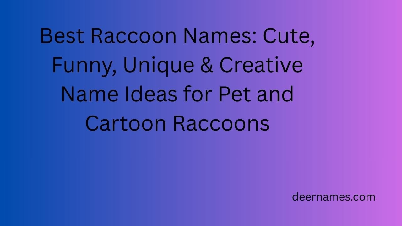 raccoon names