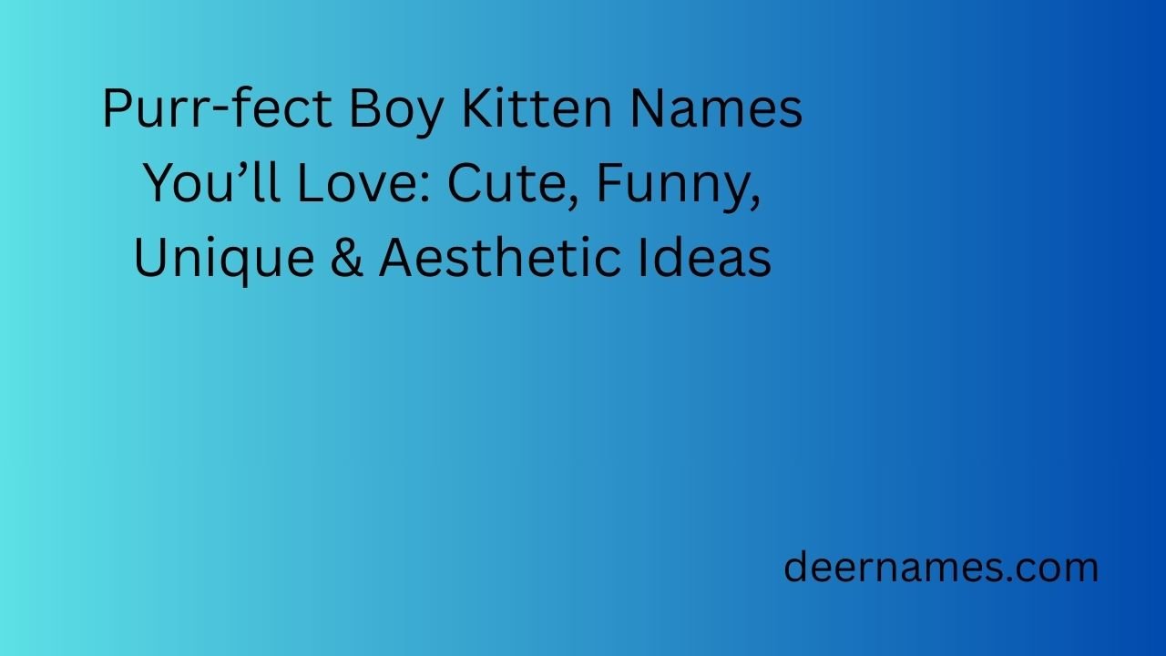 boy kitten names