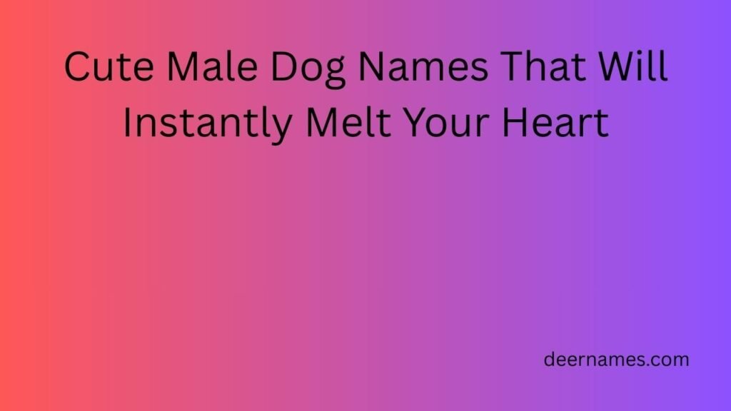 cute male dog names