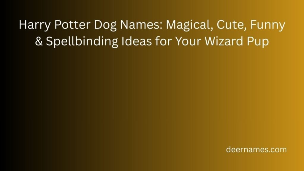 harry potter dog names