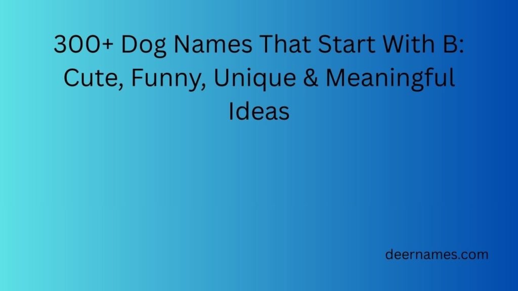 dog names that start with b