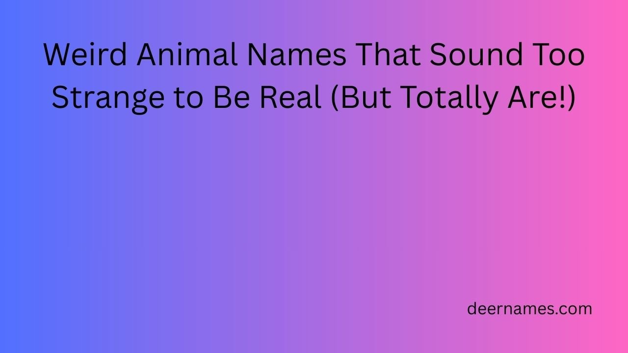 weird animal names