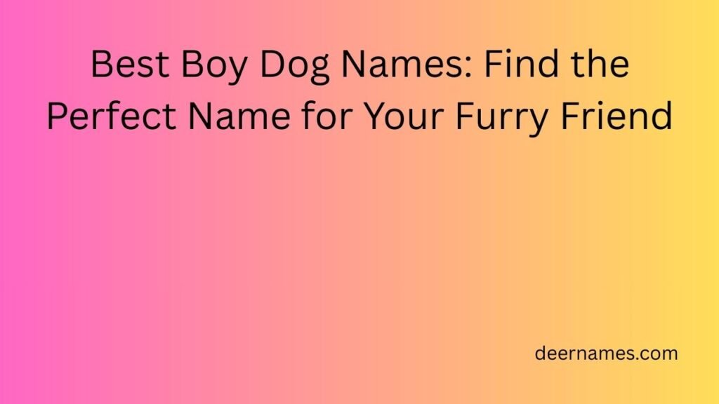 best boy dog names