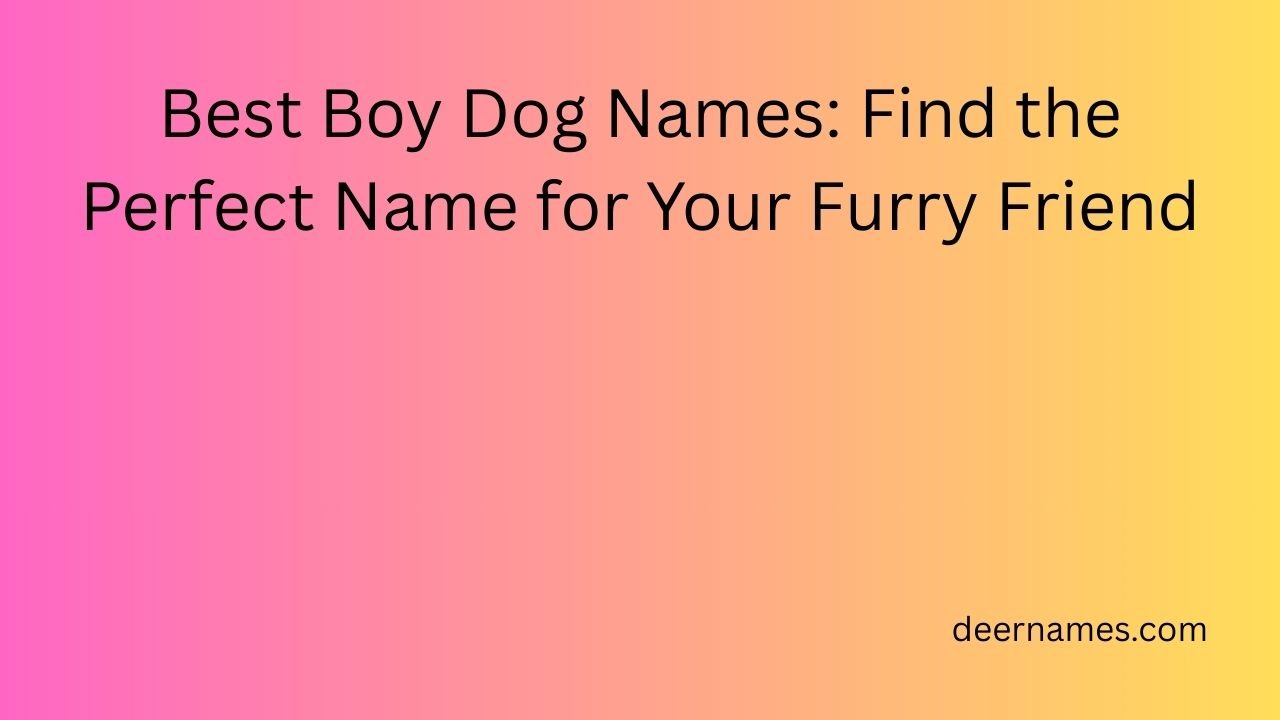 best boy dog names