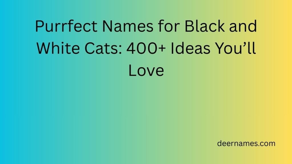 names for black and white cats