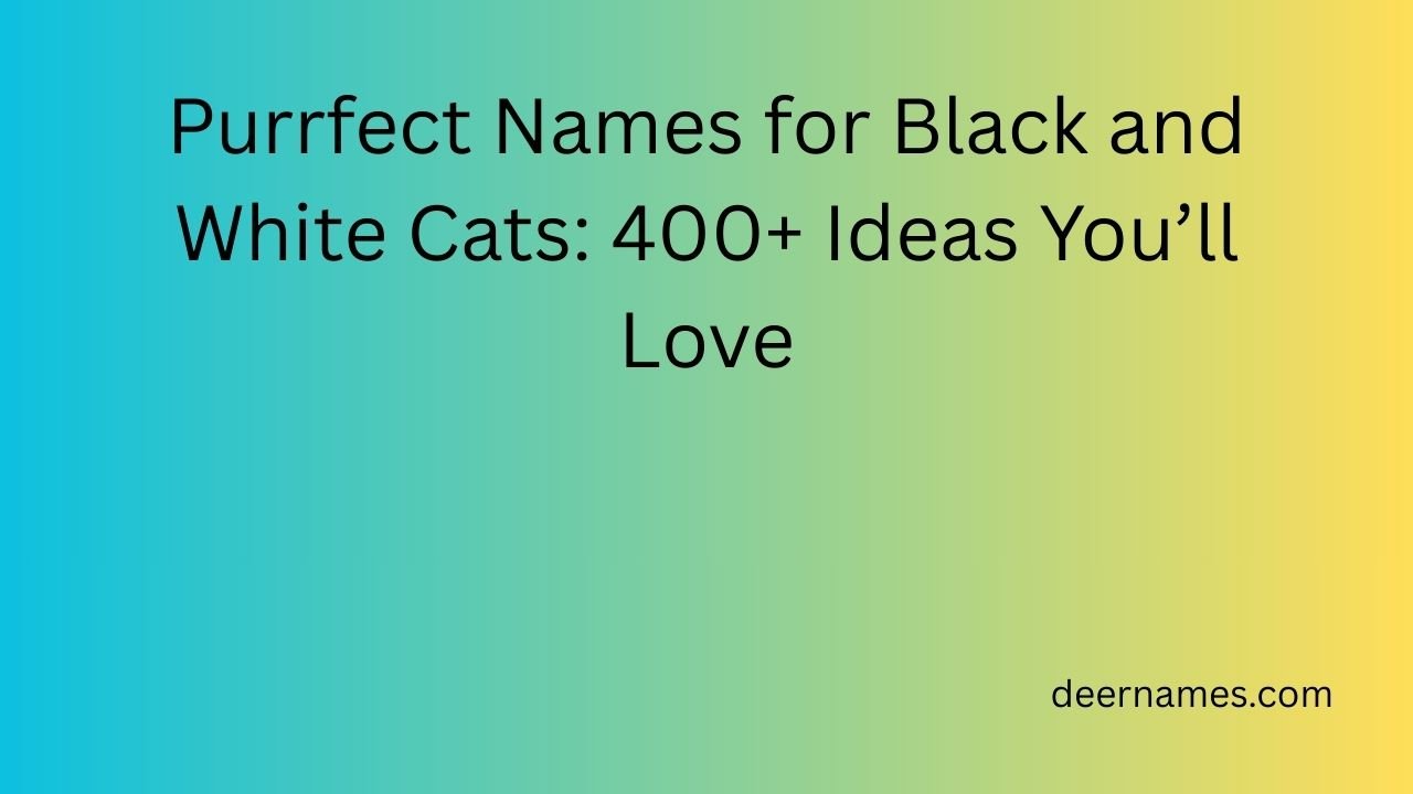 names for black and white cats