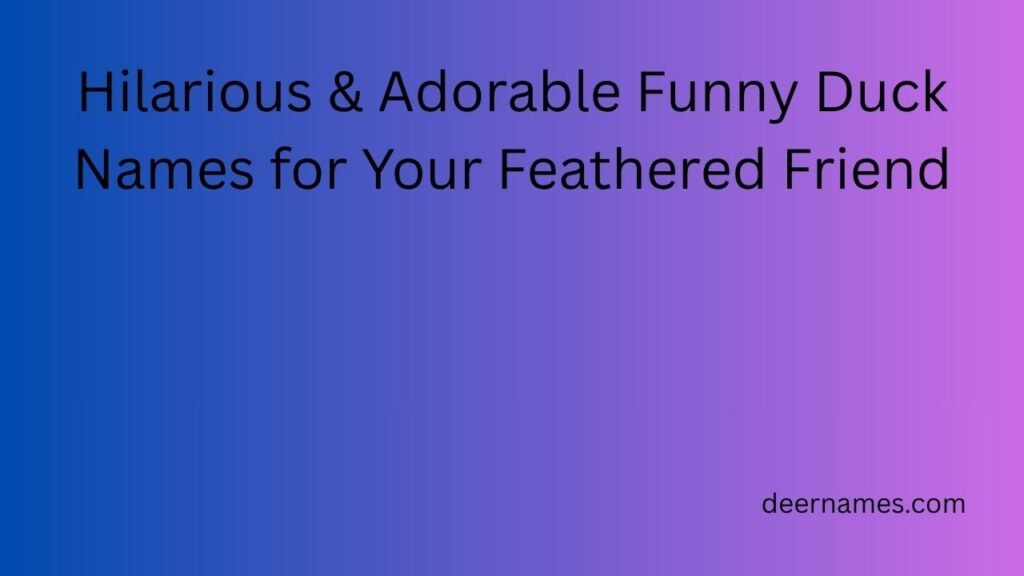 Hilarious & Adorable Funny Duck Names for Your Feathered Friend funny duck names