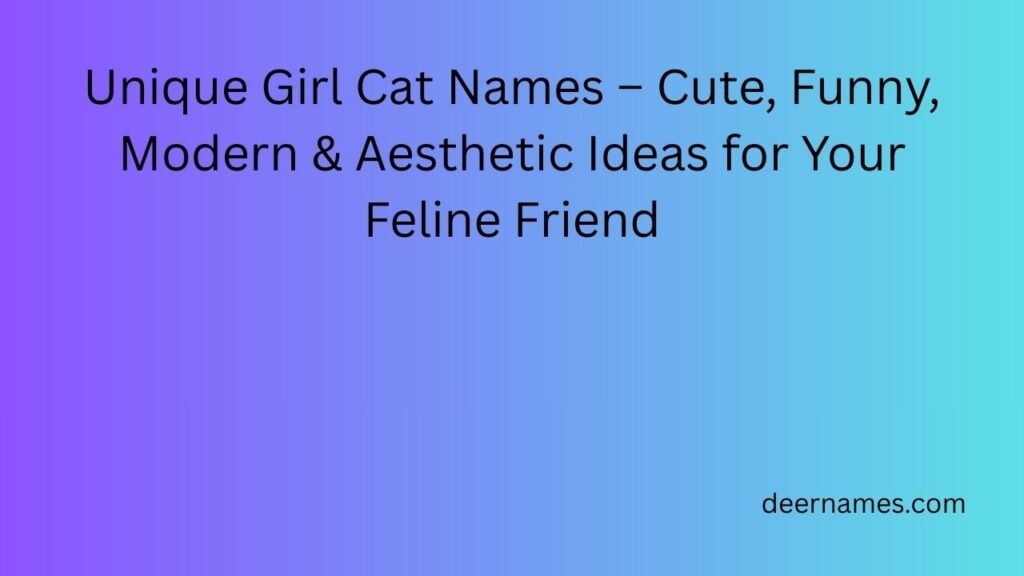 unique girl cat names