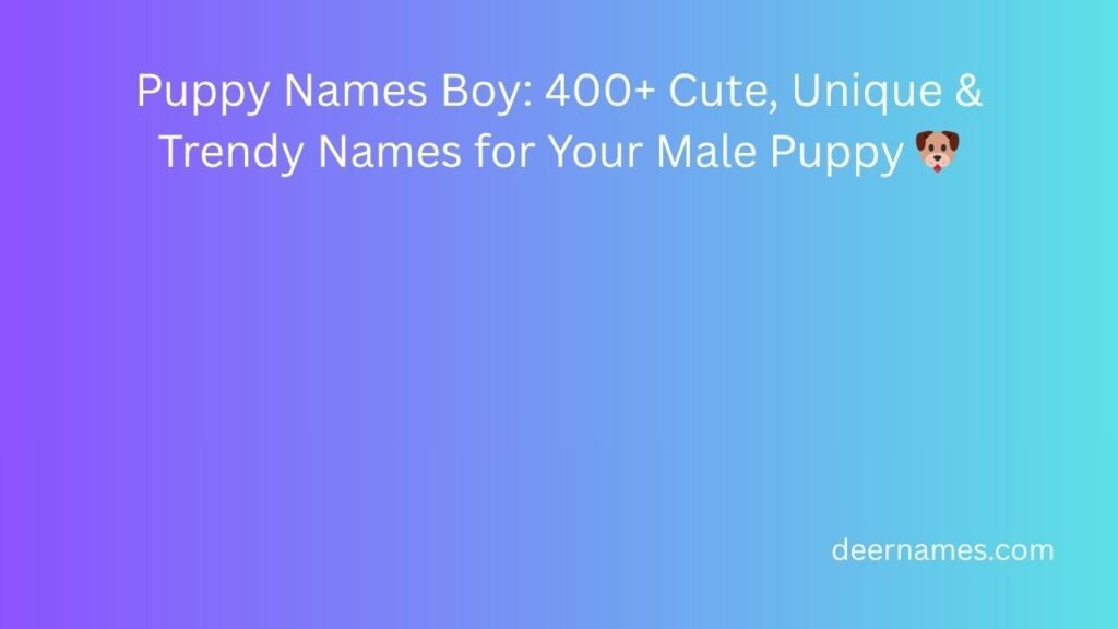 puppy names boy