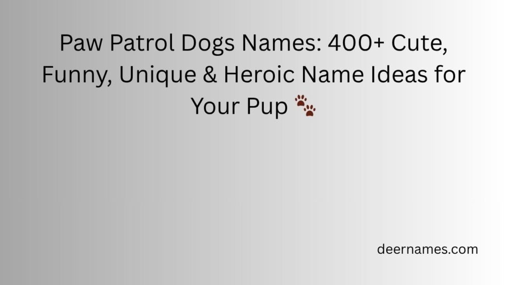 paw patrol dogs names