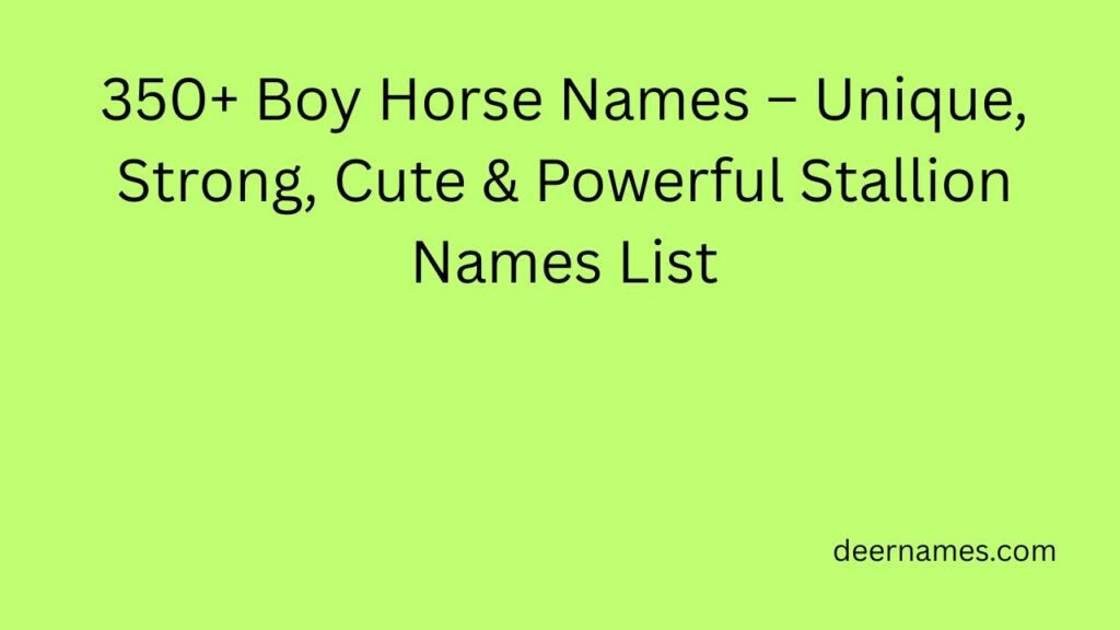 350+ Boy Horse Names – Unique, Strong, Cute & Powerful Stallion Names List boy horse names