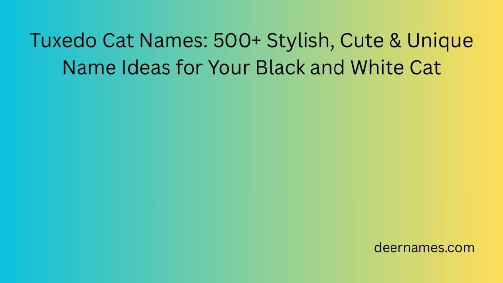 tuxedo cat names