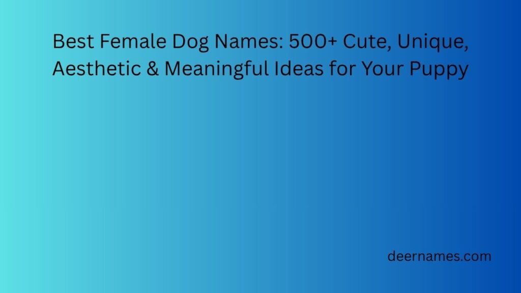 Best Female Dog Names: 500+ Cute, Unique, Aesthetic & Meaningful Ideas for Your Puppy best female dog names