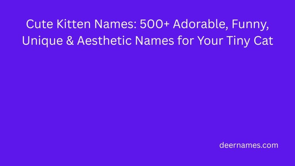 cute kitten names
