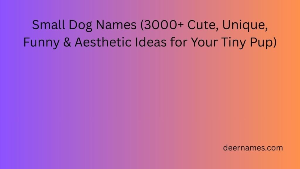 small dog names