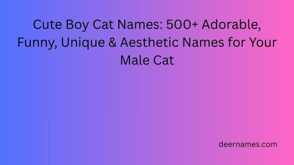 cute boy cat names