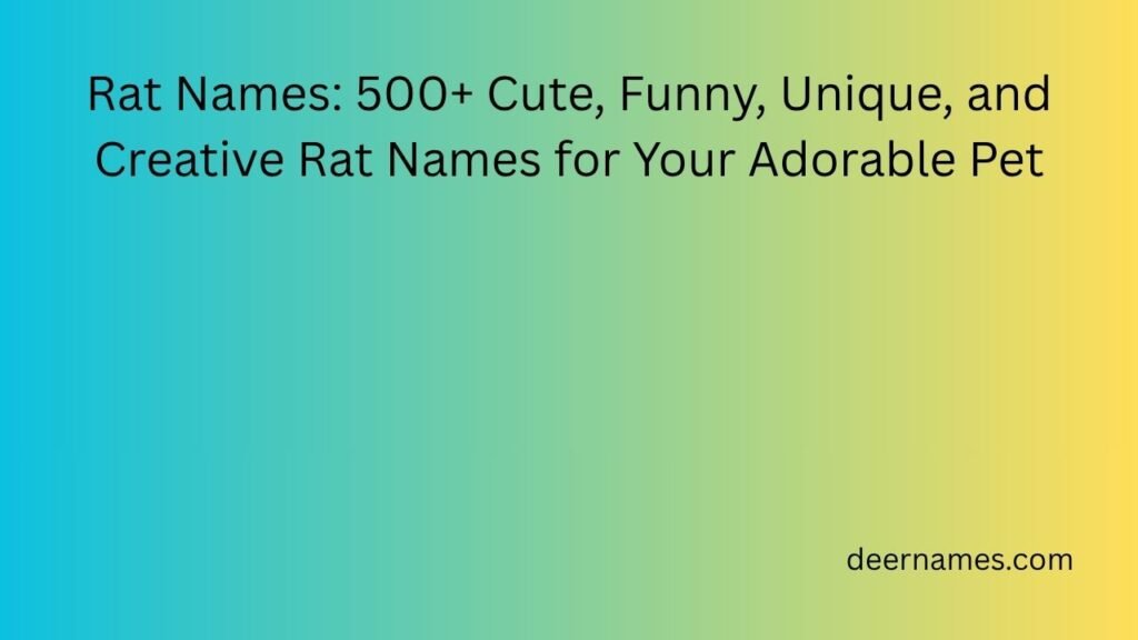 Rat Names: 500+ Cute, Funny, Unique, and Creative Rat Names for Your Adorable Pet rat names