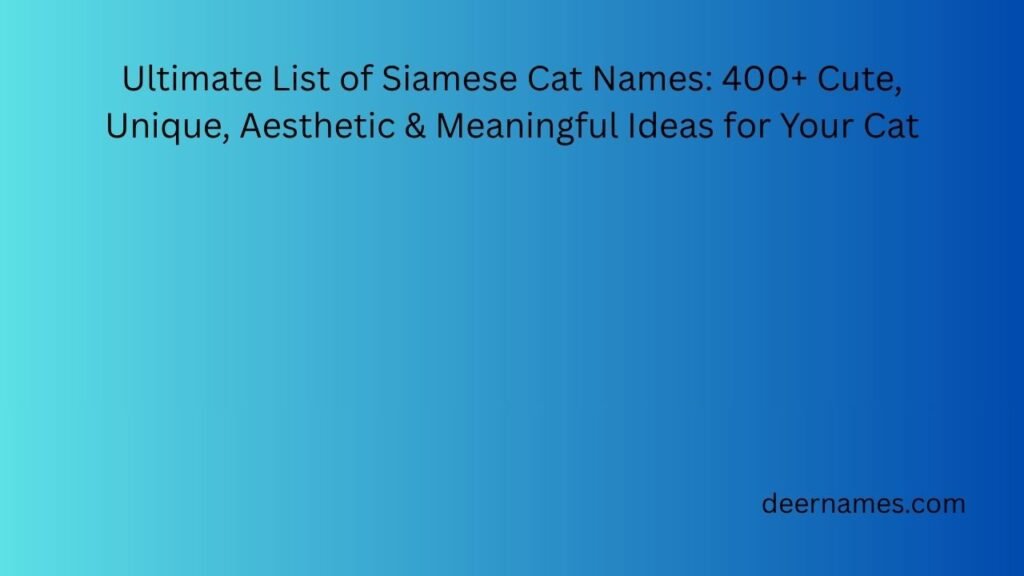 Ultimate List of Siamese Cat Names: 400+ Cute, Unique, Aesthetic & Meaningful Ideas for Your Cat siamese cat names