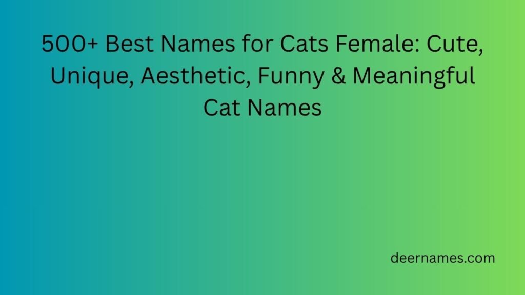 names for cats female